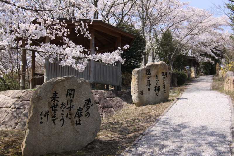 川柳公園の画像