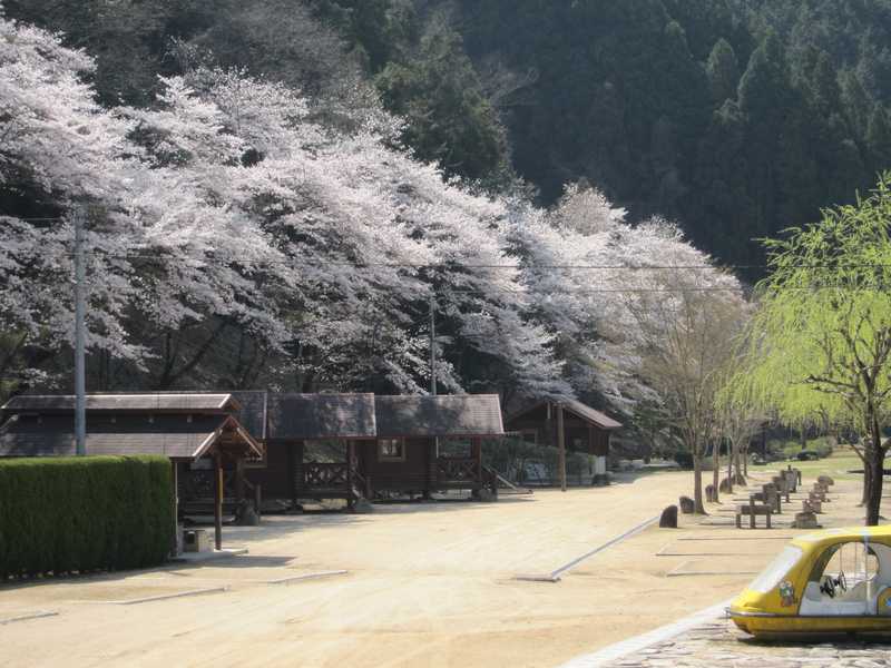 湯の瀬温泉郷キャンプ場の画像