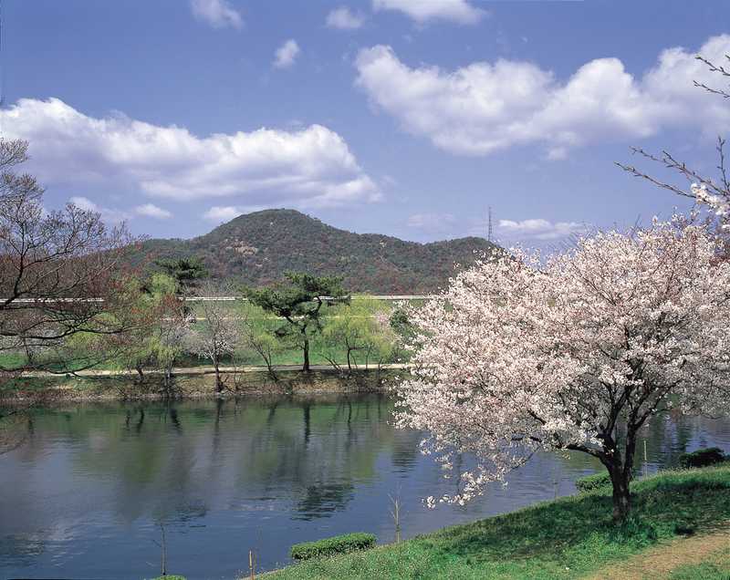 酒津公園の画像