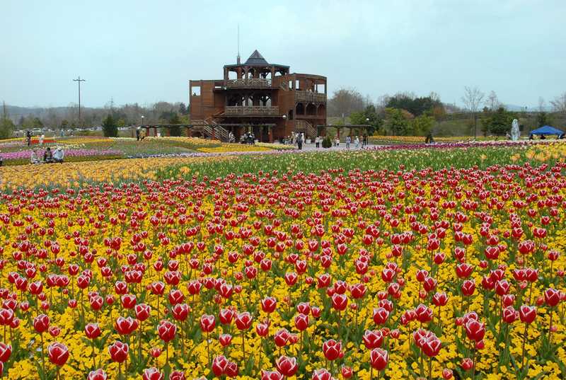 国営備北丘陵公園の画像