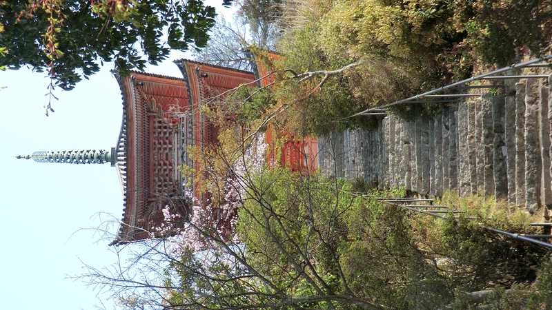 潮音山公園の画像