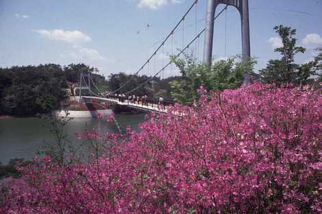 江汐公園 江汐公園の画像