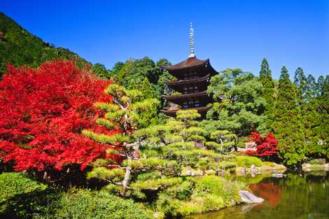瑠璃光寺 瑠璃光寺の画像
