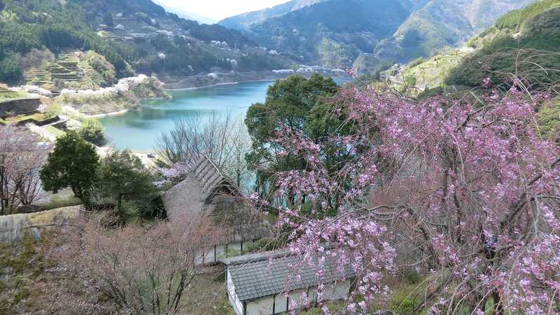 仁淀川町大渡ダム公園の画像