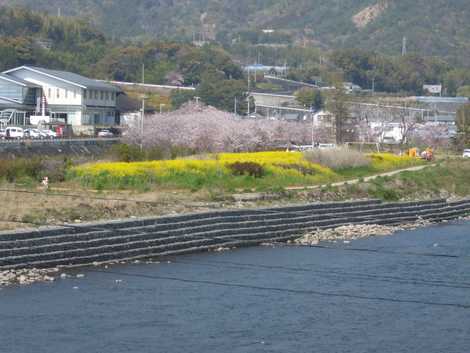 二十三士公園の画像