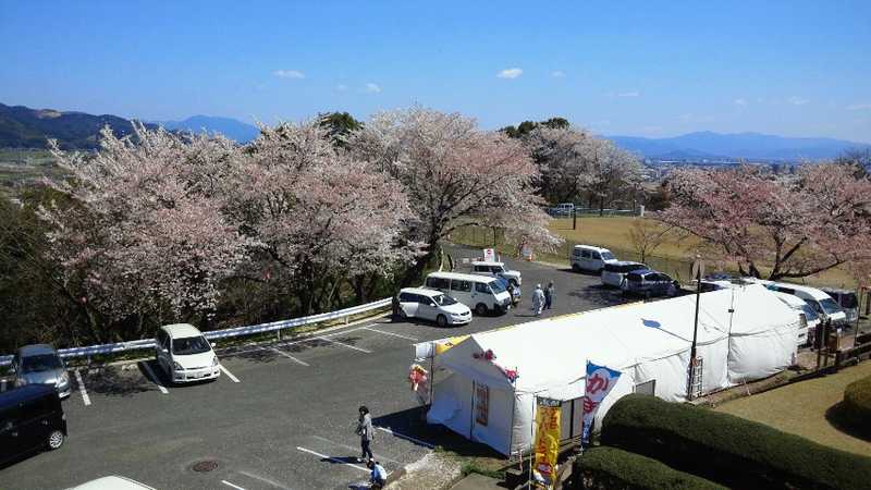 朝日山公園の画像