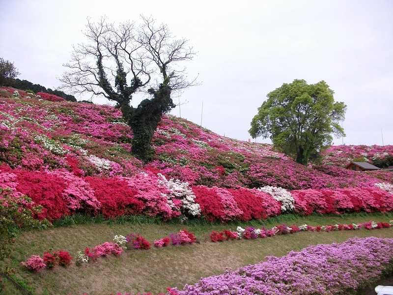 長串山公園の画像