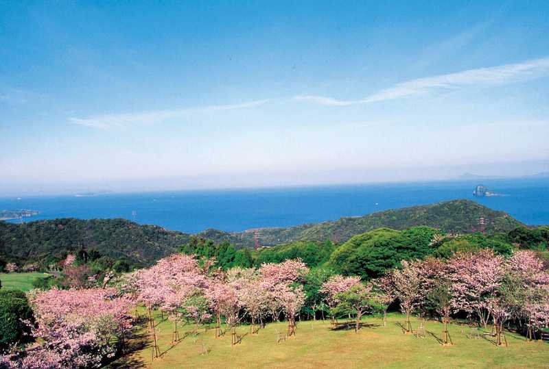 百合ヶ岳公園の画像