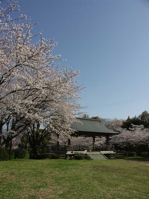 菊池公園の画像