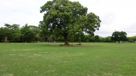 熊本城公園の画像