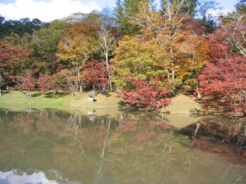 用作公園の画像