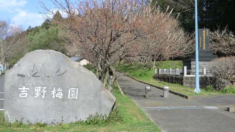 吉野梅園の画像