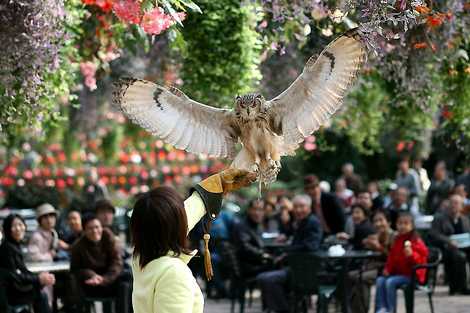 富士花鳥園の画像