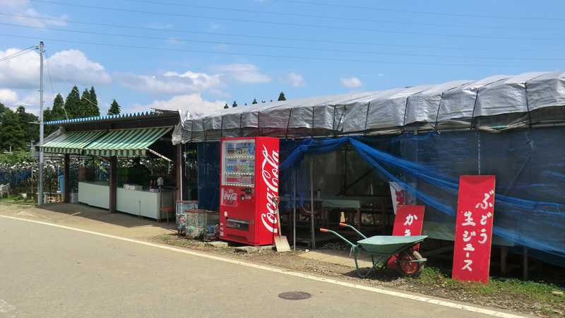 音川観光ぶどう園の画像