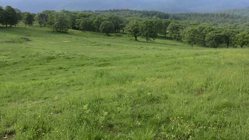 笹ヶ峰放牧場利用組合牧場管理舎 戸隠 妙高 の施設情報 ゼンリンいつもnavi