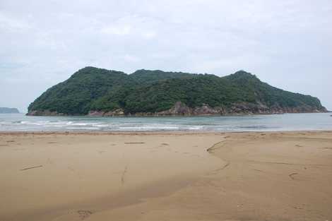 天然記念物幸島サル生息地の画像