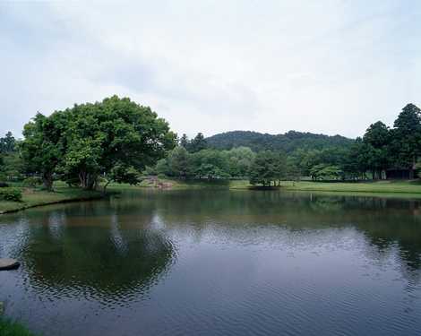 観自在王院跡史跡公園の画像