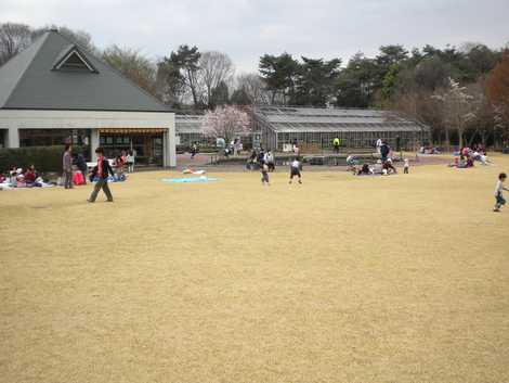 埼玉県農林公園の画像