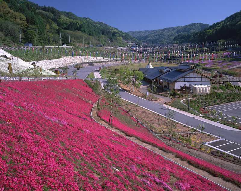 南八ケ岳花の森公園の画像