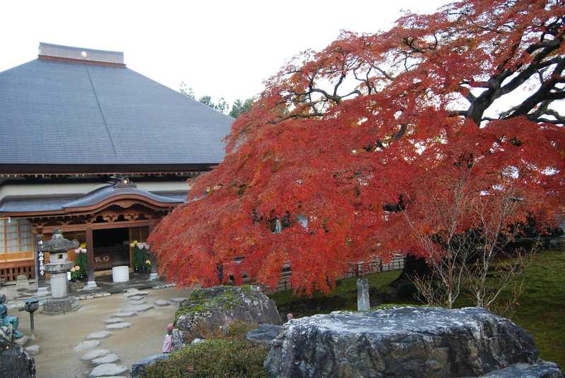 西善寺の画像