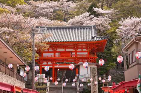 紀三井寺 紀三井寺の画像