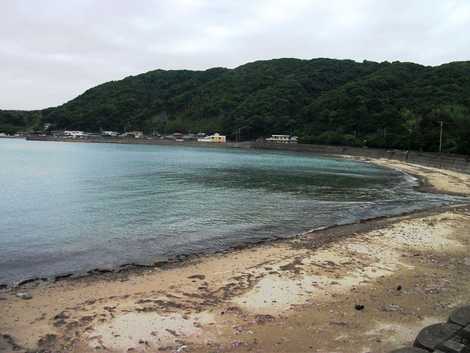 小浦海岸の画像