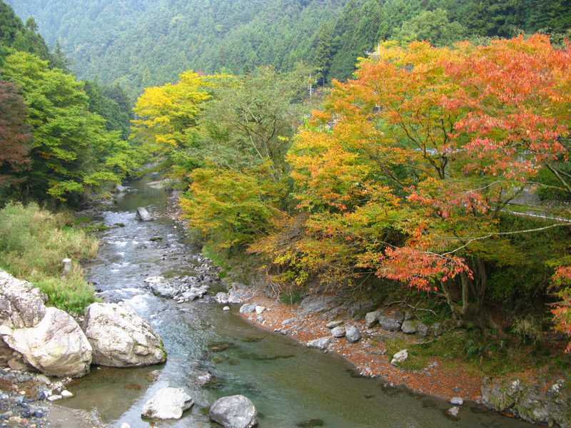 名栗渓谷の画像