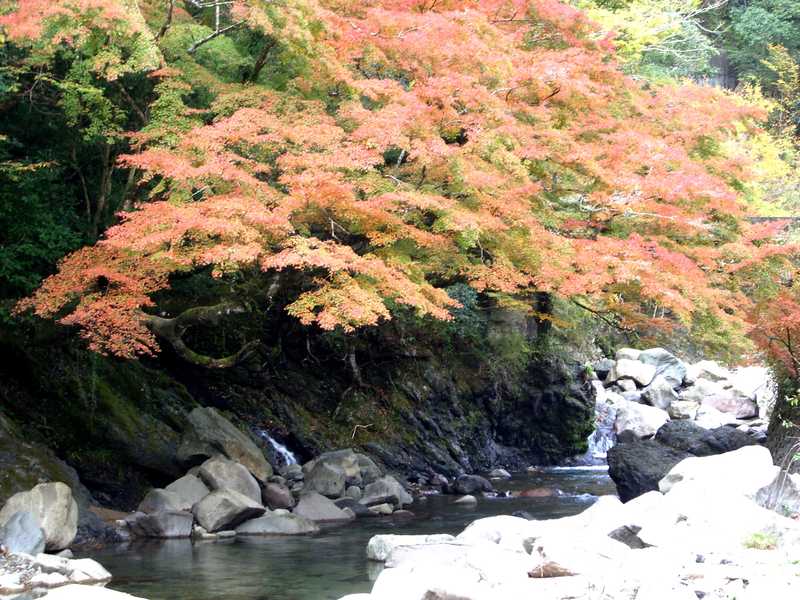 木谷峡 周南 岩国 の施設情報 ゼンリンいつもnavi 木谷峡 周南 岩国 の施設情報 ゼンリンいつもnavi