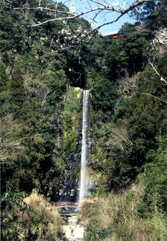 八戸観音滝の画像