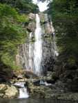 矢研の滝 矢研の滝の画像