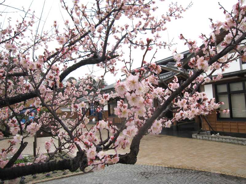 佐布里緑と花のふれあい公園の画像