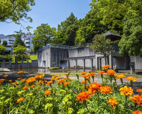 城山公園の画像