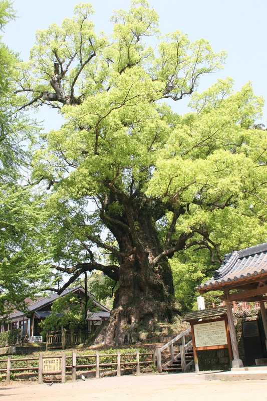 施設の画像