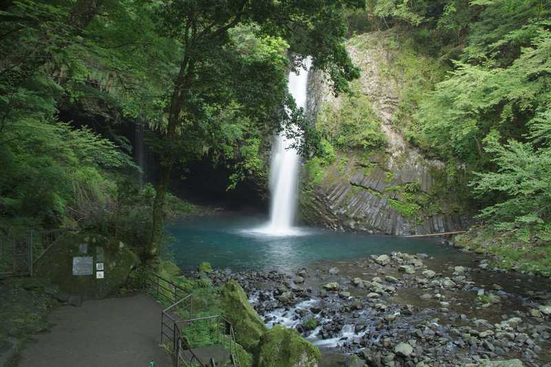 天城山自然休養林の画像