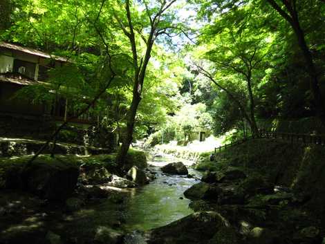 箕面公園 箕面公園の画像