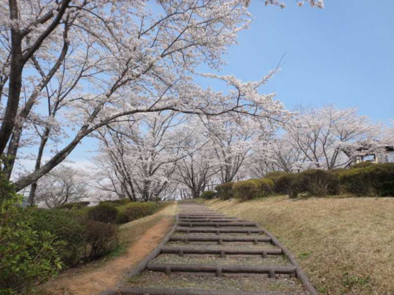 丸岡公園の画像