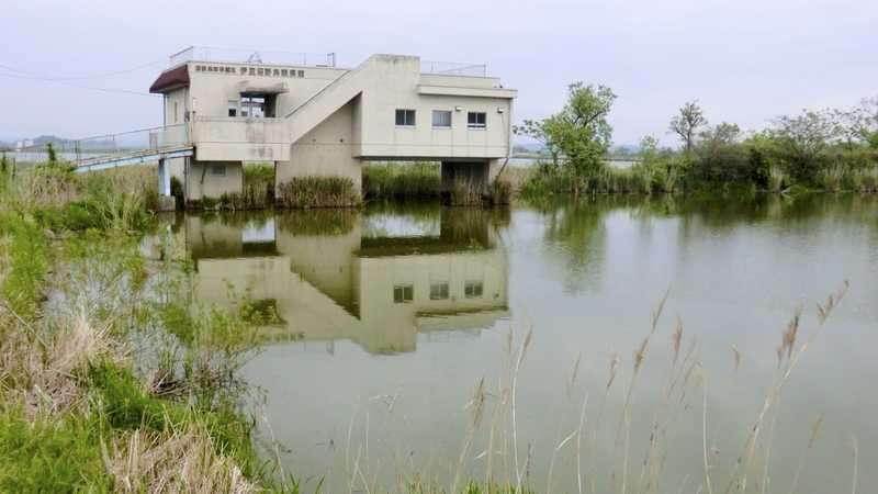 伊豆沼野鳥観察館の画像