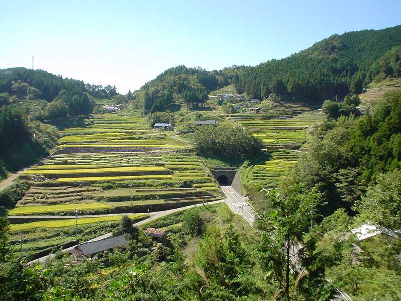 梼原神在居の千枚田の画像