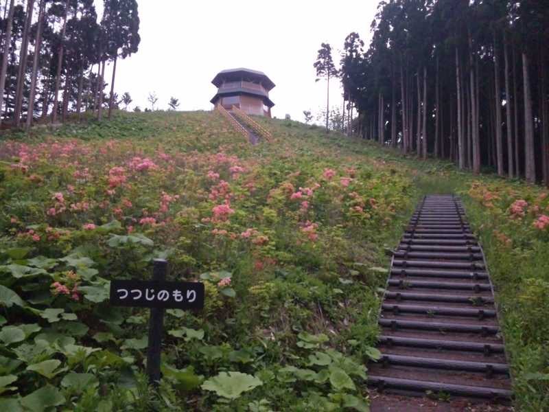 アオーネ白神展望所の画像