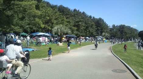 小戸公園 小戸公園の画像