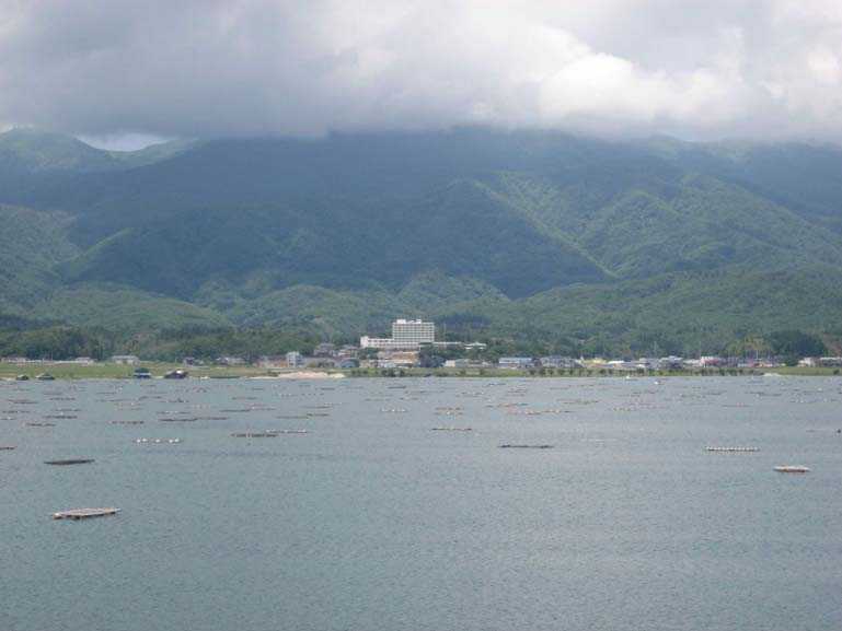 椎崎公園の画像