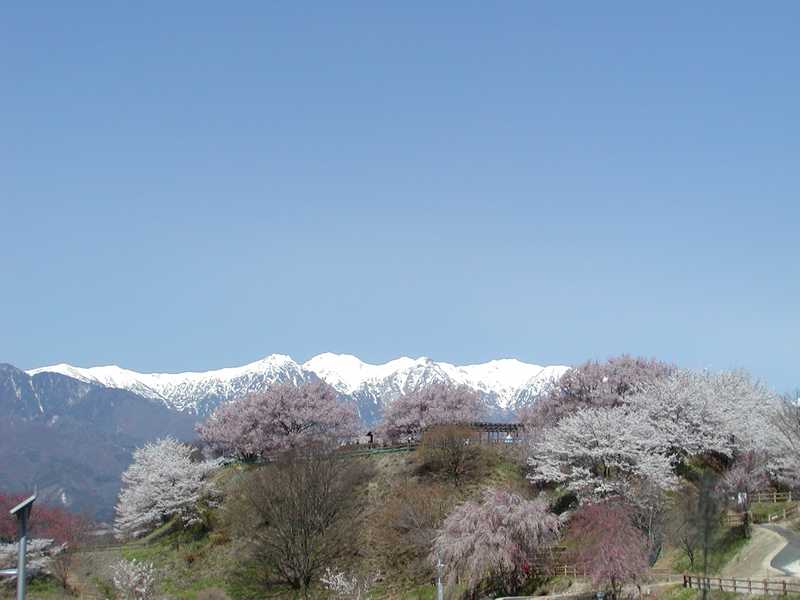 大草城址公園 伊那 天竜峡 の施設情報 ゼンリンいつもnavi