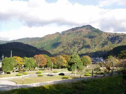 宝が池公園 宝が池公園の画像