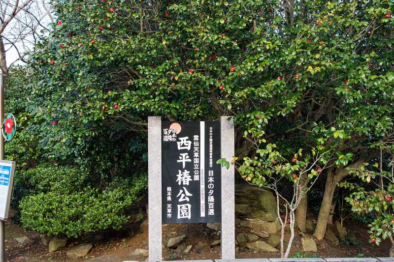 西平椿公園 天草 の施設情報 ゼンリンいつもnavi