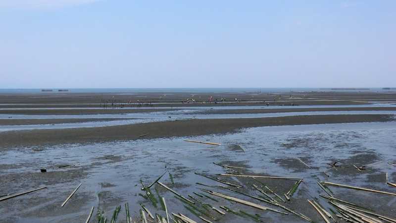 肥後長浜潮干狩り場の画像