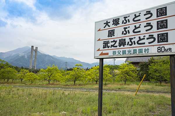 秩父観光農園村の画像