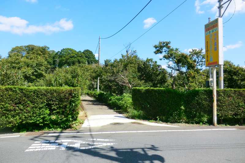 若松みどりの栗園の画像