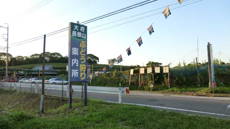 大府長根山観光ぶどう組合の画像