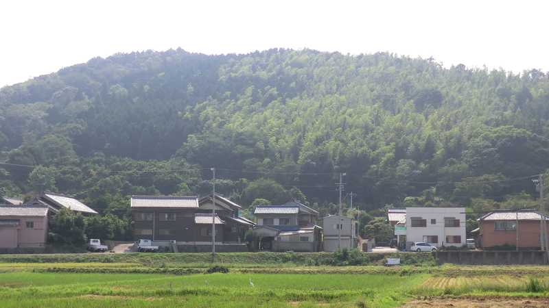 三ヶ根みかん狩り鳥羽園の画像