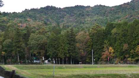 忠吉山の画像